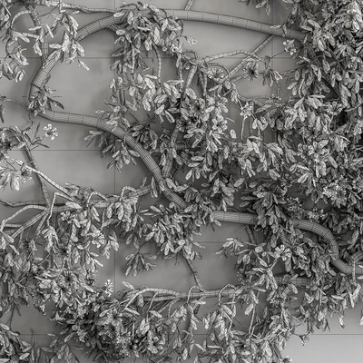 Outdoor Plant Set 426- Ivy on Wall — Вид 3