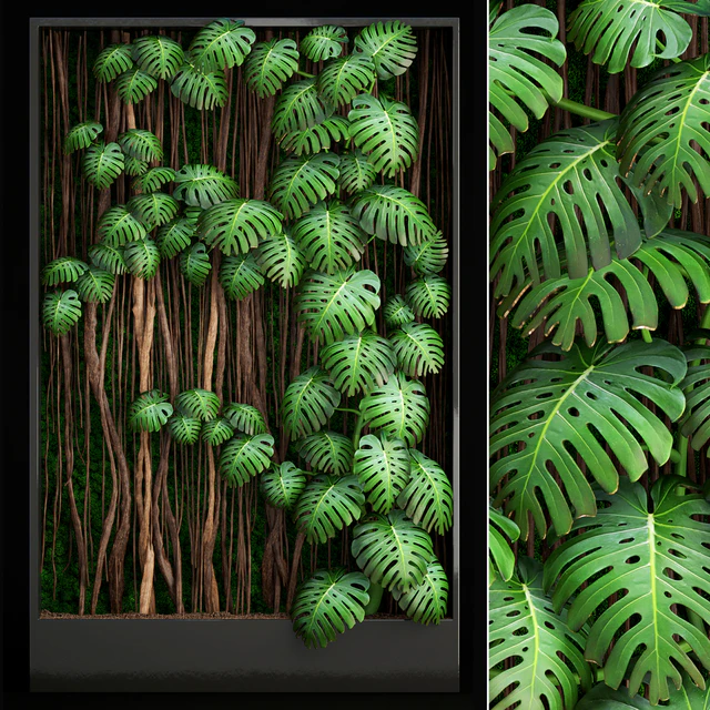 Vertical garden 9. Monstera, phytowall, phytomodule, eco design, vertical garden, decorative — Descargar