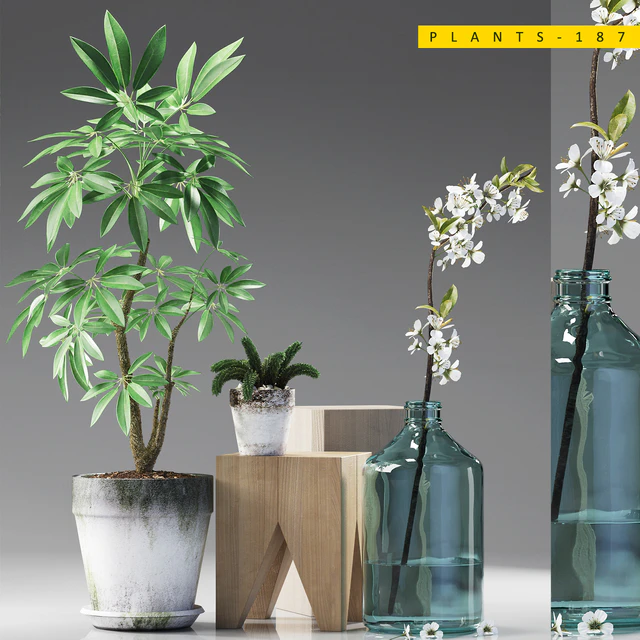 PLANTS 187 — Скачать