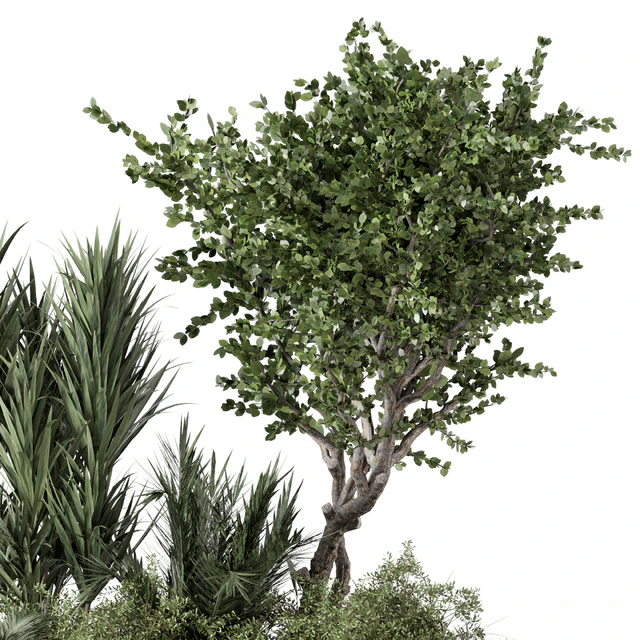 Outdoor Garden set bush and Tree - Garden Set 499 — Descargar