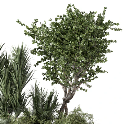 Outdoor Garden set bush and Tree - Garden Set 499 — Ver 3