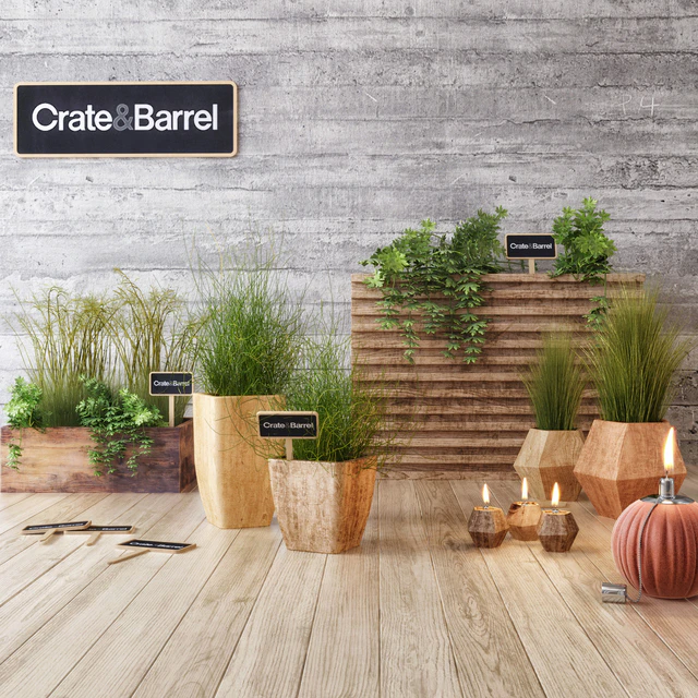 Crate & Barrel planter set — Скачать