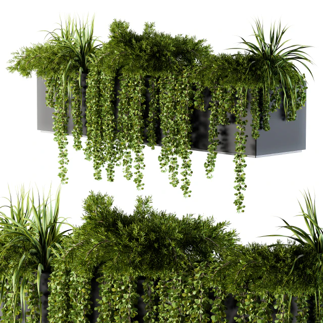 ivy plants in box - Outdoor Set 62 — Descargar