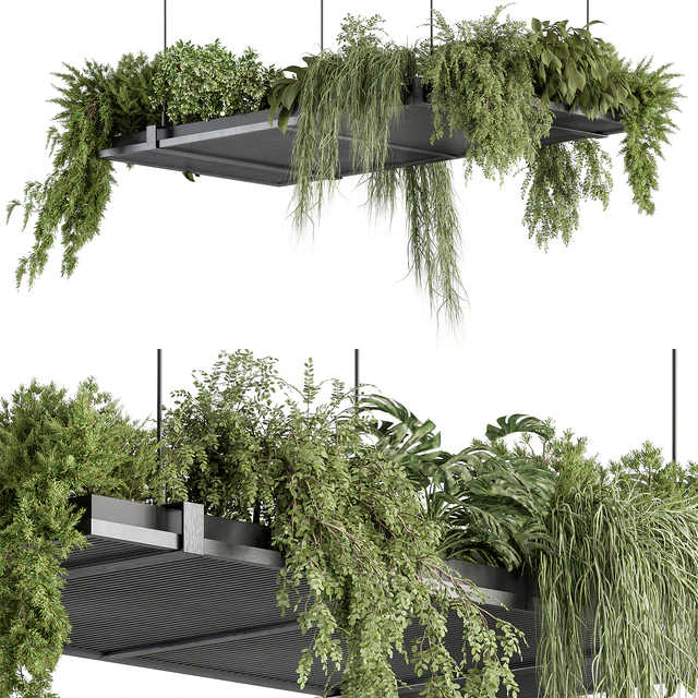 indoor Plant 443 - Hanging Plants — Descargar