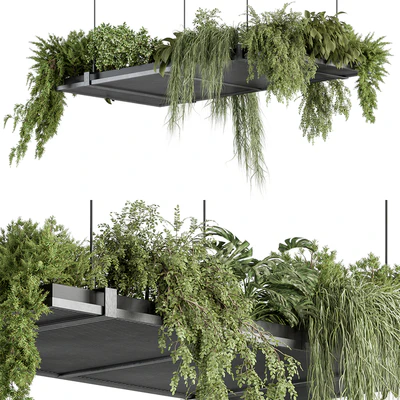 indoor Plant 443 - Hanging Plants — Ver 2