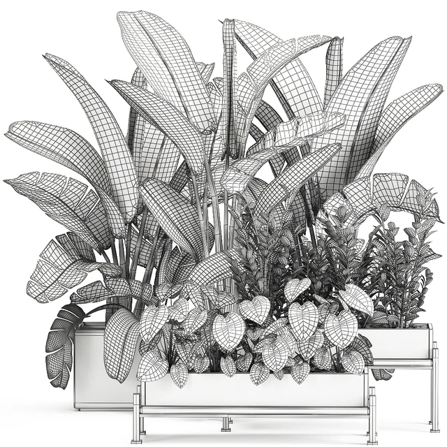 Collection of plants in potted flower beds with Thickets, Strelitzia, banana, Zamiokulkas, Philodendron, jungle. Set 914. — Descargar