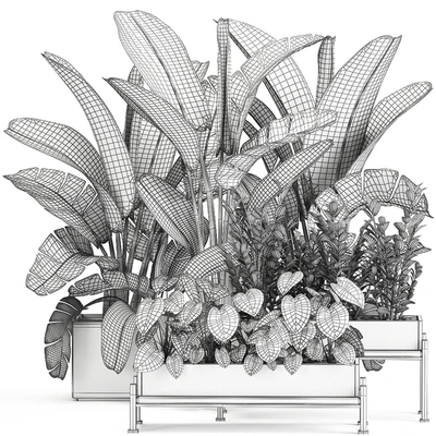Collection of plants in potted flower beds with Thickets, Strelitzia, banana, Zamiokulkas, Philodendron, jungle. Set 914. — Ver 3
