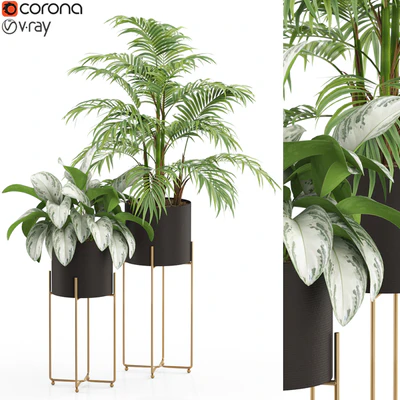 Plants collection 515 — Вид 1
