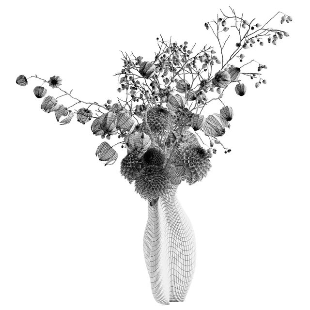 Autumn bouquet with dahlias, physalis and hawthorn — Descargar