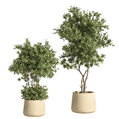 indoor plant set 74 — Ver 4