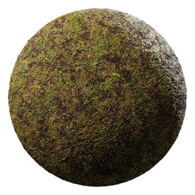 dirt forest 008 — Descargar