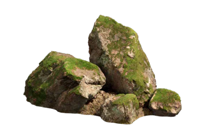 nordic forest cluster medium 001 — Descargar