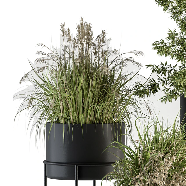 indoor Plant Set 370 - Tree and Plant Set Stand pot — Скачать