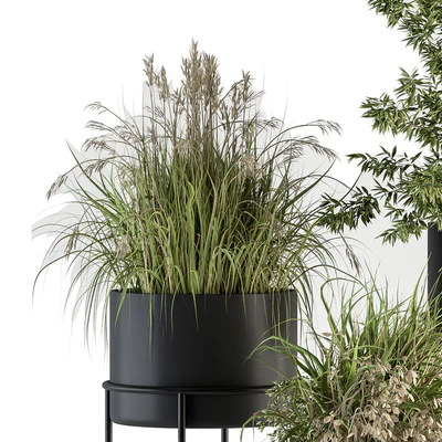 indoor Plant Set 370 - Tree and Plant Set Stand pot — Вид 4