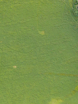 field summer 001 — Descargar