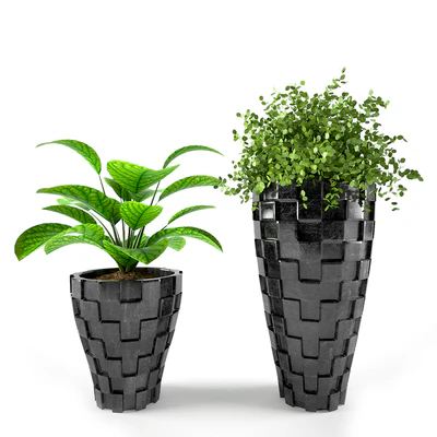 PLANT 02 — Вид 1