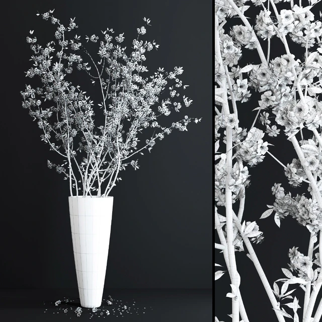 Cherry White Blossom — Скачать