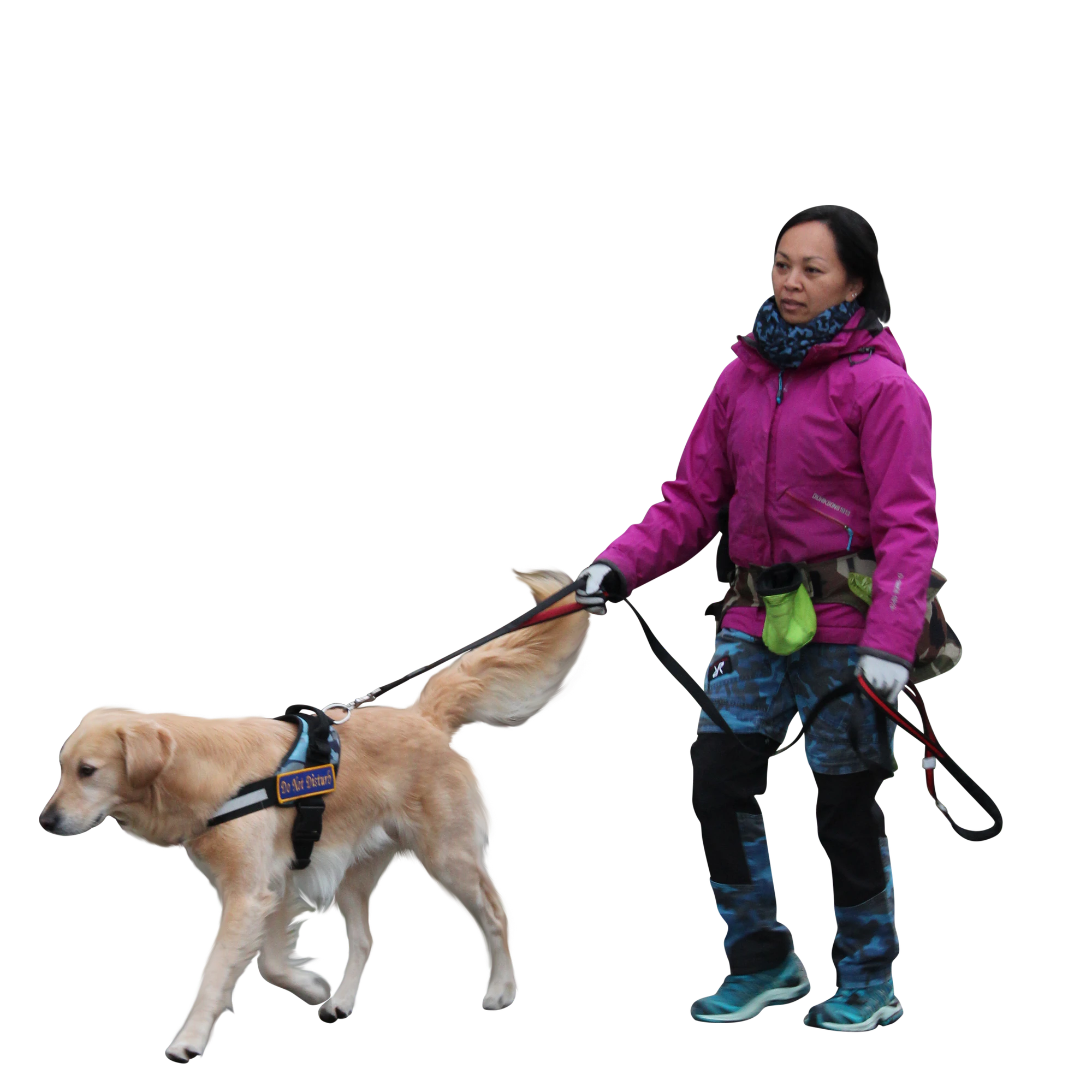 082 — Скачать