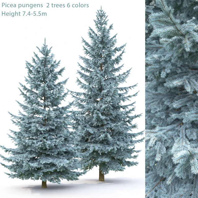 Spruce — Descargar