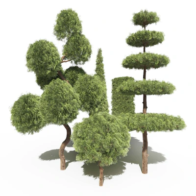 Туя №2 (Thuja #2) — Вид 3