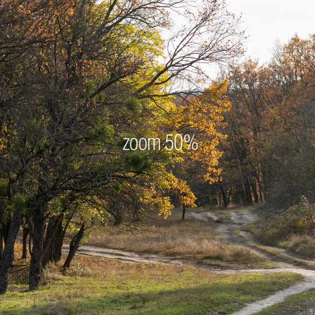 Oak Grove. 2 panoramas — Descargar