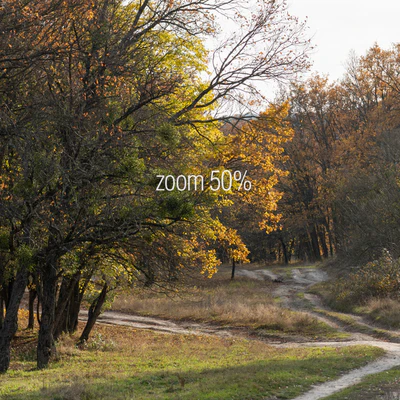 Oak Grove. 2 panoramas — Ver 2