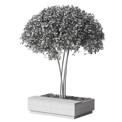 Urban furniture bench Braiton — Вид 3
