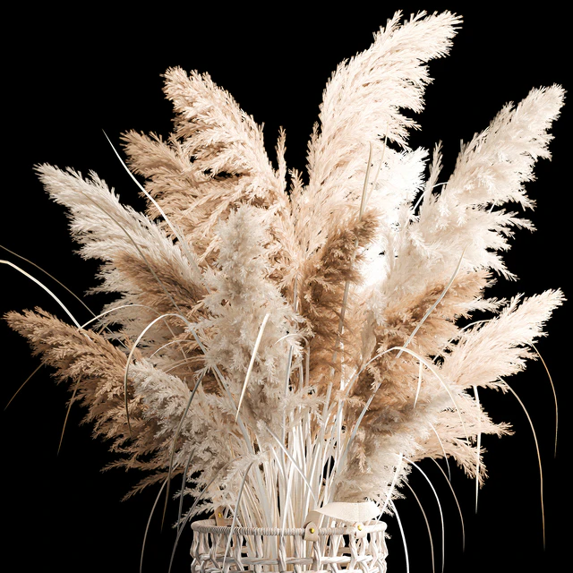 Bouquet of white dried flowers in a wicker basket, reeds, pampas grass, Cortaderia. 256. — Descargar