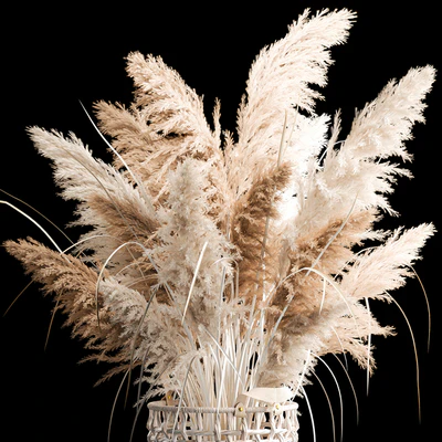 Bouquet of white dried flowers in a wicker basket, reeds, pampas grass, Cortaderia. 256. — Ver 6