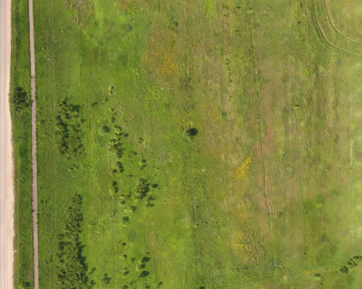 field summer 036 — Скачать