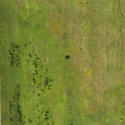 field summer 036 — Скачать