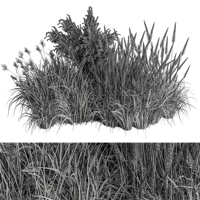 Pampas Plant Bush Set 96 — Скачать