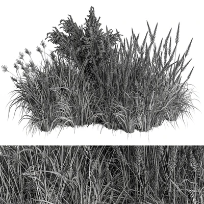 Pampas Plant Bush Set 96 — Вид 4