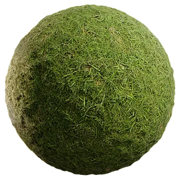 uncut grass 017 — Descargar