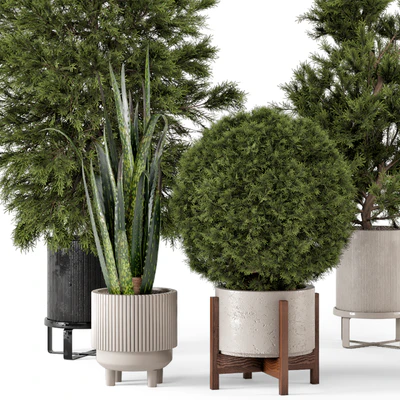 Indoor Plants in Ferm Living Bau Pot Large - Set 364 — Вид 6