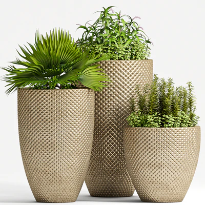 PLANT SET - 68 — Вид 1