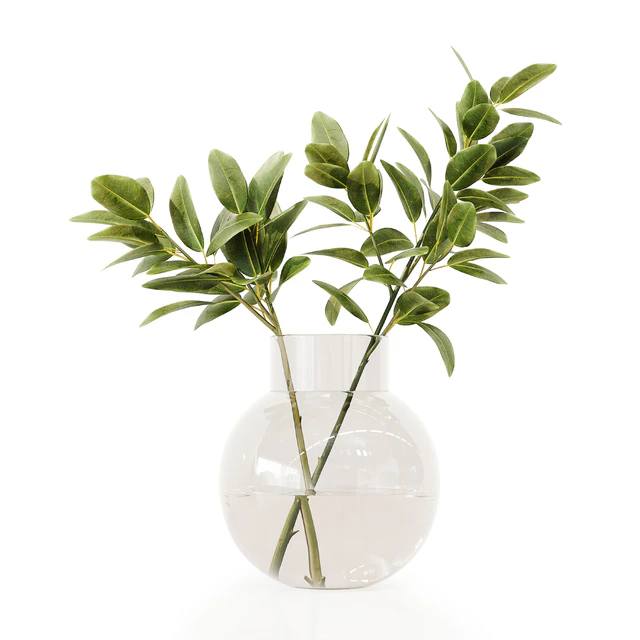Collection Indoor Plants 020 — Descargar
