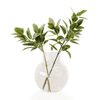 Collection Indoor Plants 020 — Ver 6