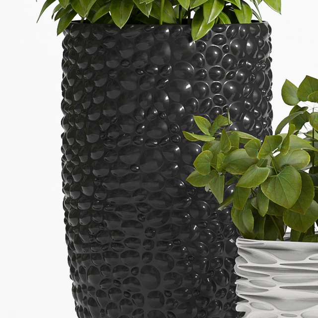 PLANT -20 — Descargar