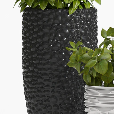 PLANT -20 — Ver 2