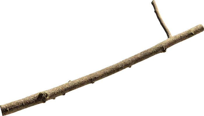linden branch 001 — Скачать