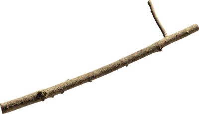 linden branch 001 — Скачать