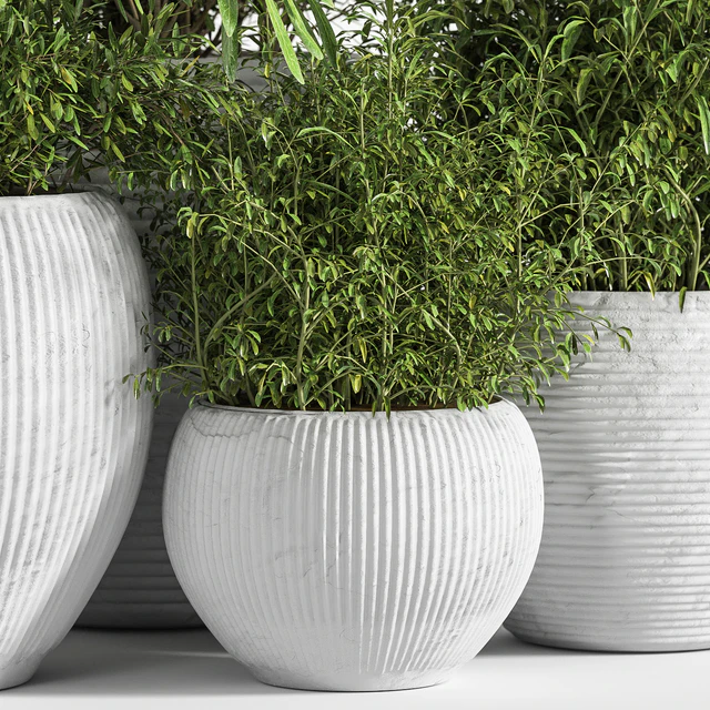 Indoor Plant Set 12 — Скачать