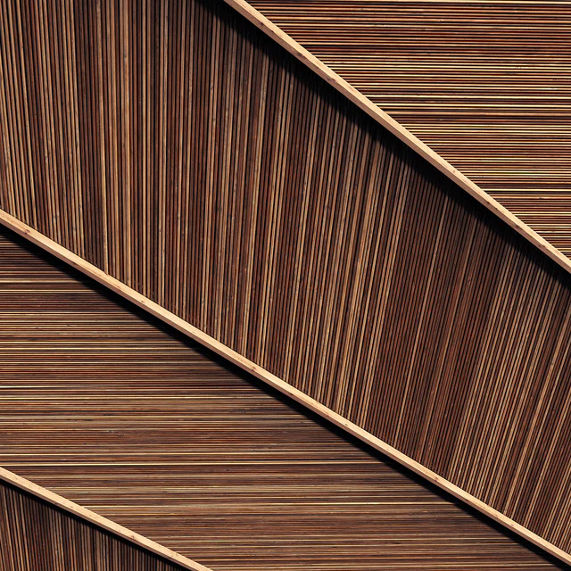 Ceiling straight thin branch n1 — Descargar