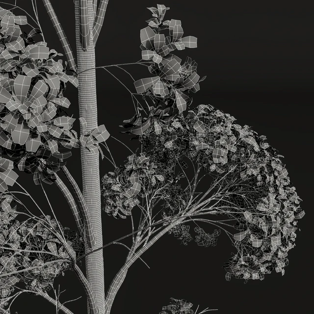 New Plant High detail Populus Tremuloides 2trees — Descargar
