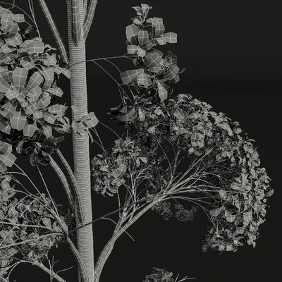 New Plant High detail Populus Tremuloides 2trees — Ver 5