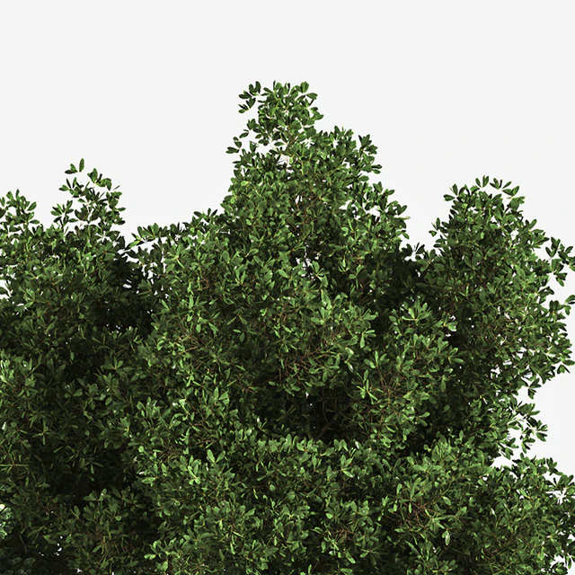 Garden Set Grass Tree — Скачать