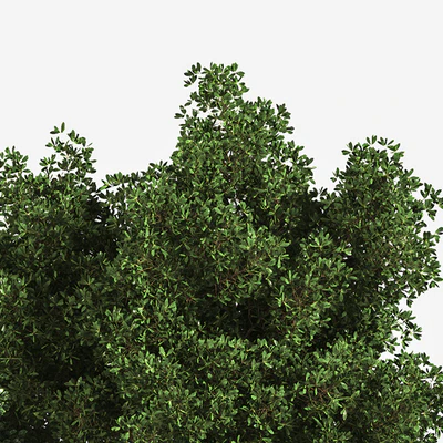 Garden Set Grass Tree — Вид 5