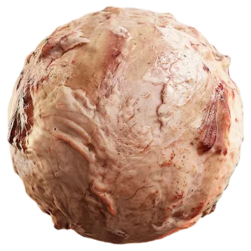animal flesh 006 — Скачать