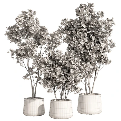 indoor plant set 84 — Вид 2